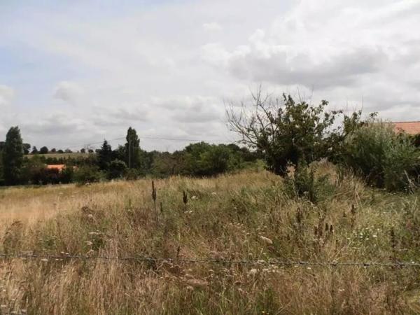 d'une superficie d'environ 1300 m2, non viabilisé mais avec eau  et électricité à proximité, avec ...