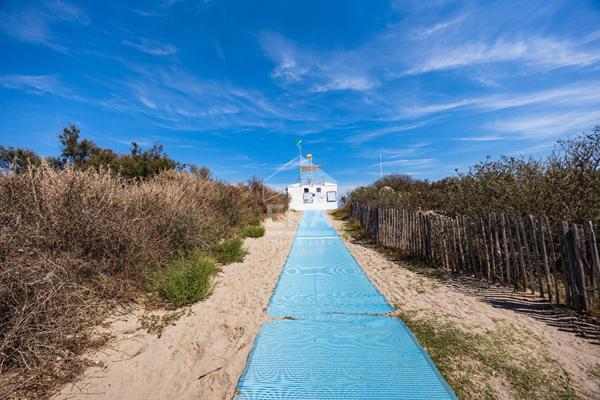 Saint Cyprien plage : appartement à vendre avec jardin, parking et accès direct à la plage