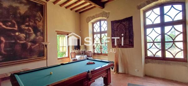 CHATEAU MEDIEVAL RENOVE 550M2 / APPARTEMENT  / STUDIO sur plus de 2Ha de terrain