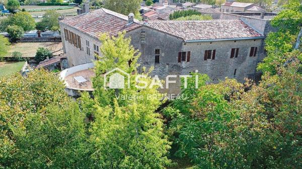 CHATEAU MEDIEVAL RENOVE 550M2 / APPARTEMENT  / STUDIO sur plus de 2Ha de terrain