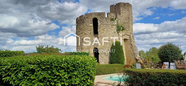 CHATEAU MEDIEVAL RENOVE 550M2 / APPARTEMENT  / STUDIO sur plus de 2Ha de terrain