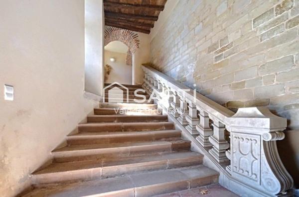CHATEAU MEDIEVAL RENOVE 550M2 / APPARTEMENT  / STUDIO sur plus de 2Ha de terrain