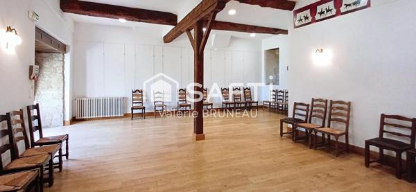 CHATEAU MEDIEVAL RENOVE 550M2 / APPARTEMENT  / STUDIO sur plus de 2Ha de terrain