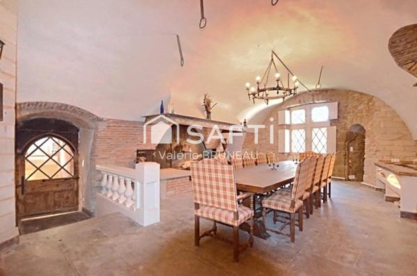 CHATEAU MEDIEVAL RENOVE 550M2 / APPARTEMENT  / STUDIO sur plus de 2Ha de terrain