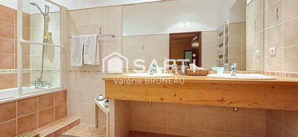 CHATEAU MEDIEVAL RENOVE 550M2 / APPARTEMENT  / STUDIO sur plus de 2Ha de terrain