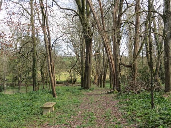 Elégante propriété,  parc et dépendances sur 3 ha