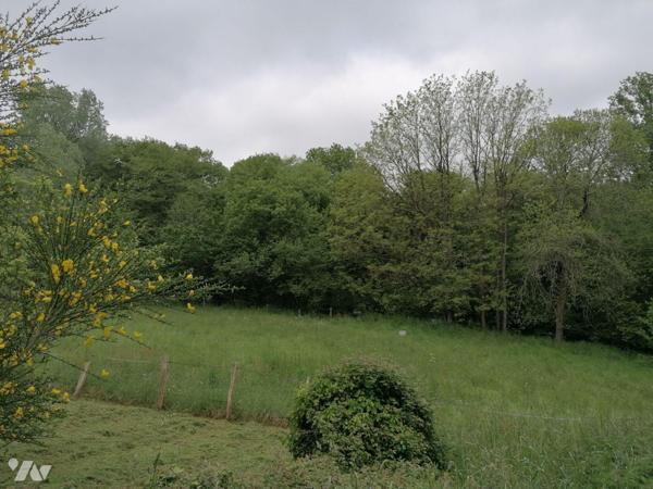 Exclusivité Trente-Cinq Notaires.  SAINT -THURIAL  Centre bourg,
Venez découvrir ce terrain à ...