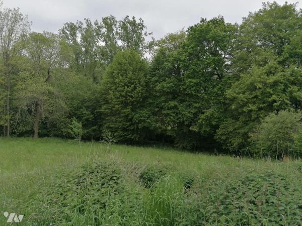 Exclusivité Trente-Cinq Notaires.  SAINT -THURIAL  Centre bourg,
Venez découvrir ce terrain à ...