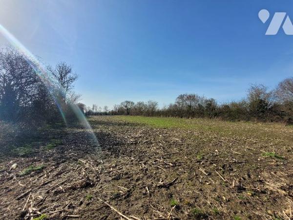 PARCELLE DE TERRE AGRICOLE