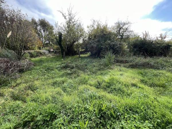 Terrain 100 001 € Dolus-d'Oléron 605 m² DPE
