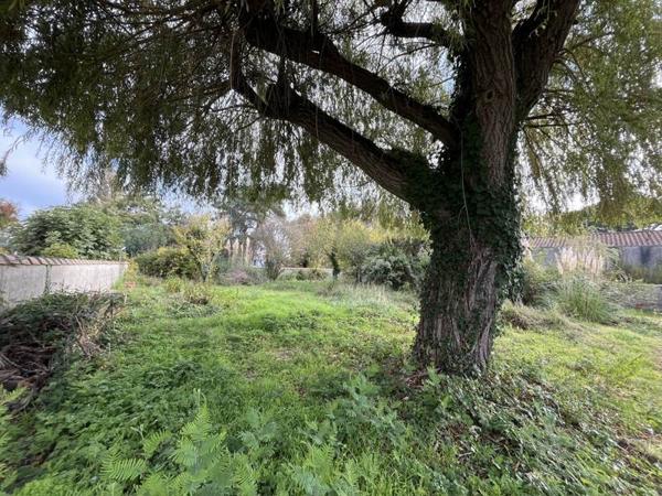 Terrain 100 001 € Dolus-d'Oléron 605 m² DPE