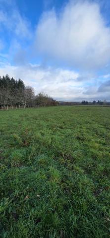 Terrain à vendre de 1 262,00 m² LE PALAIS SUR VIENNE (87)