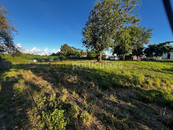 Vente Terrain6389 m² - SAINTE ANNE (97180)