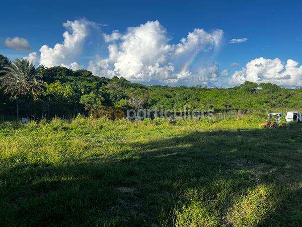 Vente Terrain6389 m² - SAINTE ANNE (97180)