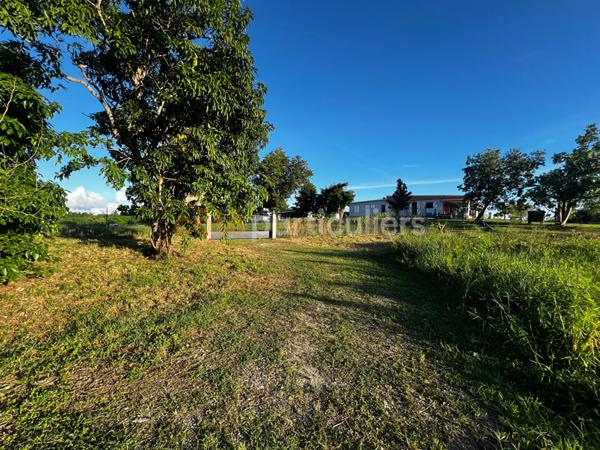 Vente Terrain6389 m² - SAINTE ANNE (97180)