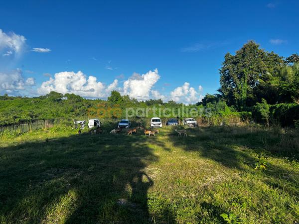 Vente Terrain6389 m² - SAINTE ANNE (97180)