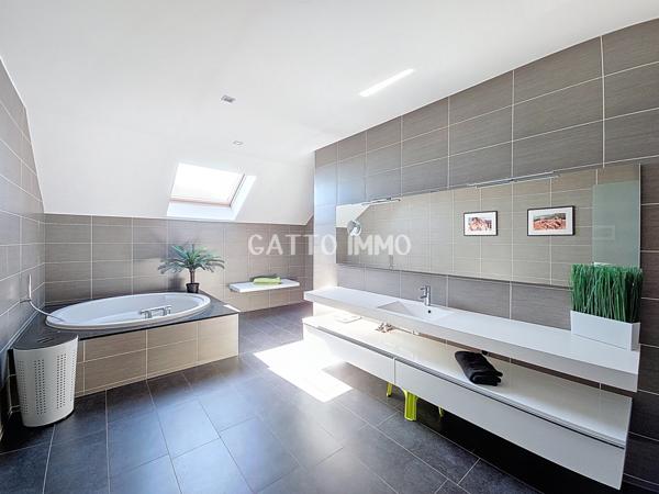 Metz (57000) Villa de 311 m2 sur 18 ares de terrain avec piscine et appartement indépendant de 86 m2