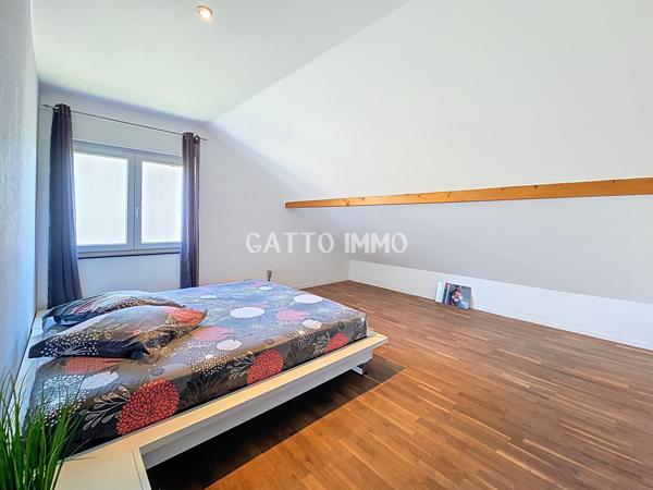 Metz (57000) Villa de 311 m2 sur 18 ares de terrain avec piscine et appartement indépendant de 86 m2