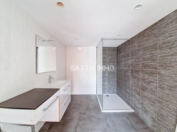 Metz (57000) Villa de 311 m2 sur 18 ares de terrain avec piscine et appartement indépendant de 86 m2