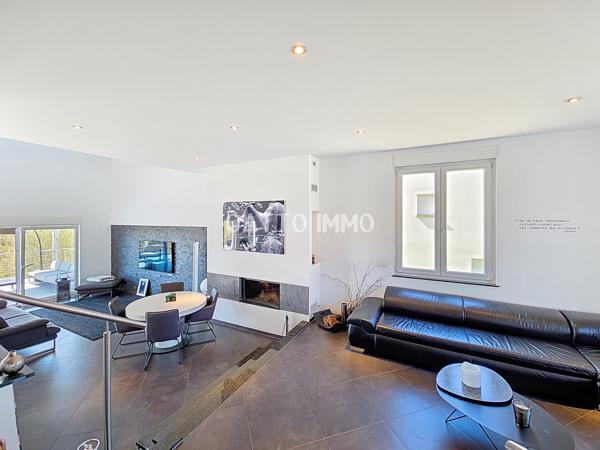 Metz (57000) Villa de 311 m2 sur 18 ares de terrain avec piscine et appartement indépendant de 86 m2