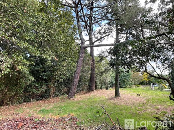 Achat terrain La Teste-de-Buch - 854 m² - 299 500 €