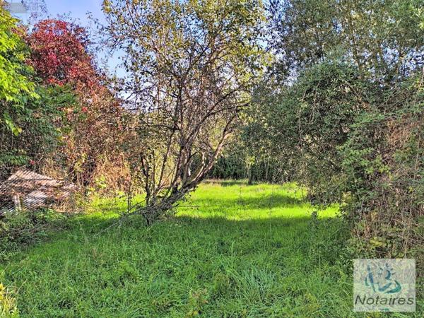 Maison à restaurer à vendre à Fargues-Saint-Hilaire en Gironde (33370), ref : 045/2203