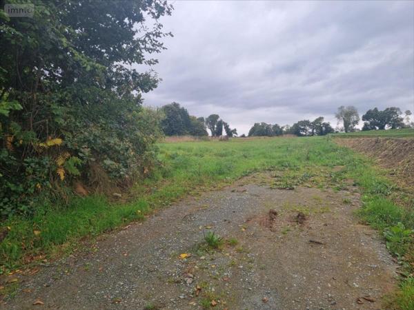 Terrain à Batir à vendre à Callac dans les Côtes-d'Armor (22160), ref : 29066-1060245