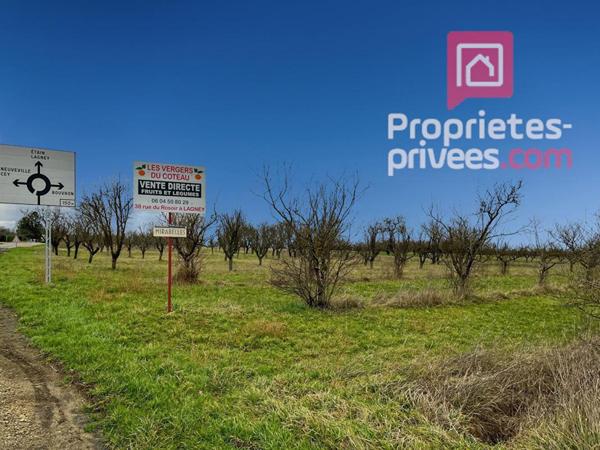 54200 LUCEY -Terrain 1433 m2 avec verger/Sécurisé/parking/Portail 5m20/35990HAI