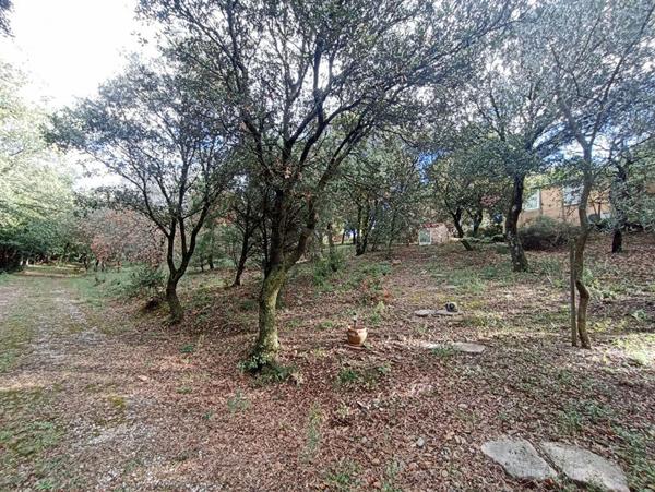 Terrain 8706m² avec cabanon, mobil home et chalet, Les granges gontardes, 290 000