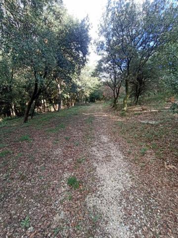 Terrain 8706m² avec cabanon, mobil home et chalet, Les granges gontardes, 290 000