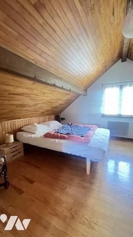 TYPIQUE CHALET RUCHE  2 APPARTEMENTS