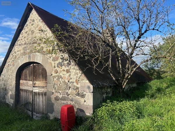 Maison de maître à vendre à Drugeac dans le Cantal (15140), ref : 15060/1227
