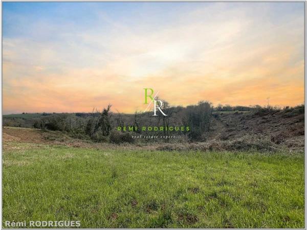 Vente / Terrain constructible