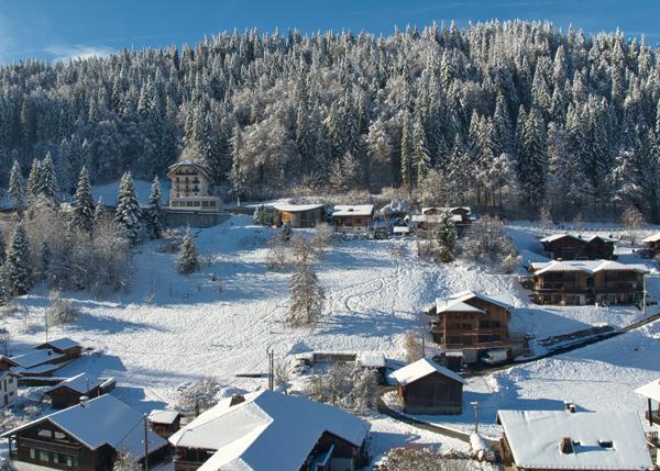 Terrain à vendre à Morzine (74110) - Haute-Savoie