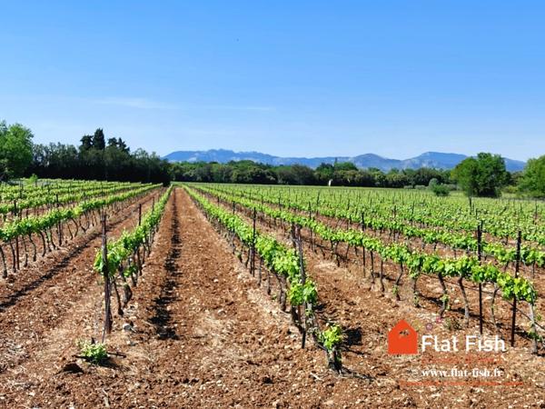 PROPRIETE UNIQUE EN PROVENCE A SAISIR ! URGENT!