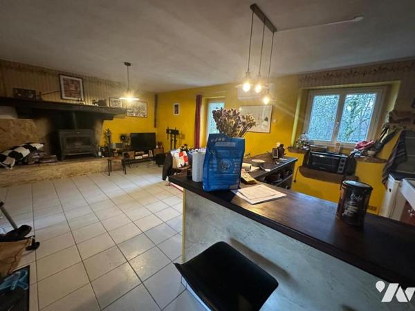 Maison rurale à vendre à FLAUJAC-POUJOLS