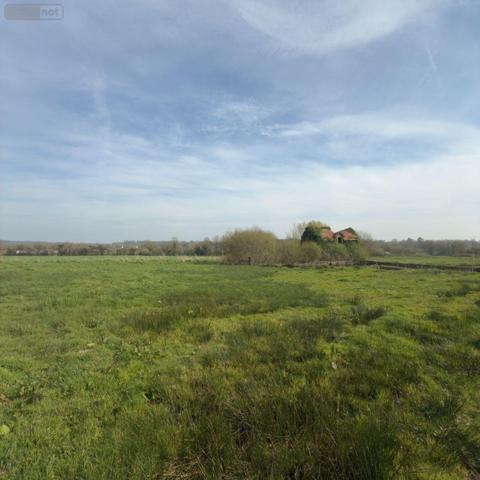 Maison à vendre à La Haye dans la Manche (50250), ref : 76062-20