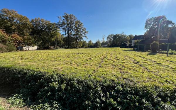 Terrain à vendre    La Chapelle-des-Marais