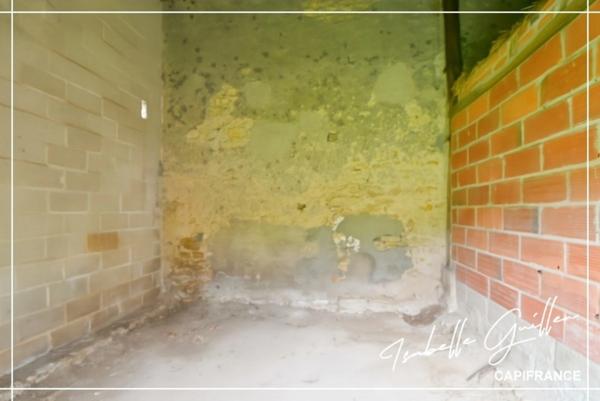 Maison à vendre 2 pièces CHATEAUMEILLANT (18)