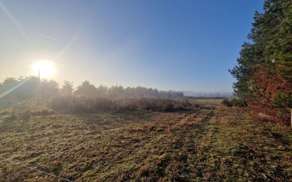 Terrain à vendre    Châtillon-sur-Cher