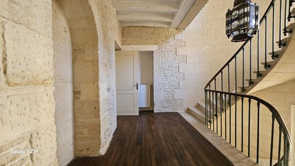 BEL HOTEL PARTICULIER EN PLEIN CENTRE VILLE DE NIORT AVEC PISICI
