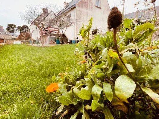 Vente Maison 6 pièces 113 m2 à La Trinité-sur-Mer