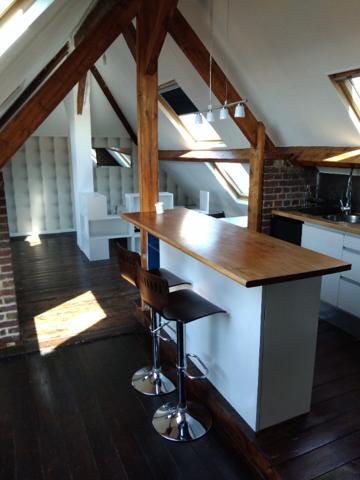 Spacieux meublé de 50m2 au sol avec place de parking