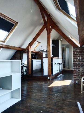 Spacieux meublé de 50m2 au sol avec place de parking