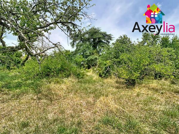 A VENDRE-PANISSIERES- TERRAIN A BATIR HORS LOTISSEMENT