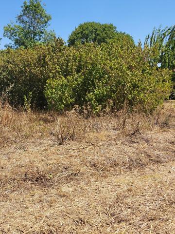 Terrain 800 m2 Thaire Terrain 800 m2 Thaire