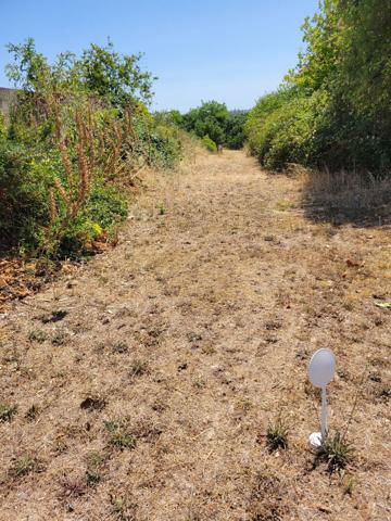 Terrain 800 m2 Thaire Terrain 800 m2 Thaire
