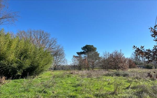 Terrain à vendre |  Monsempron-Libos |  1215 m²