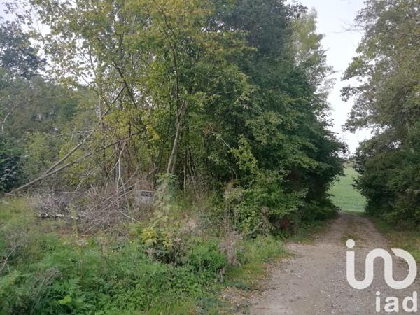 Terrain à vendre 2 500 m² Le Val d'Hazey