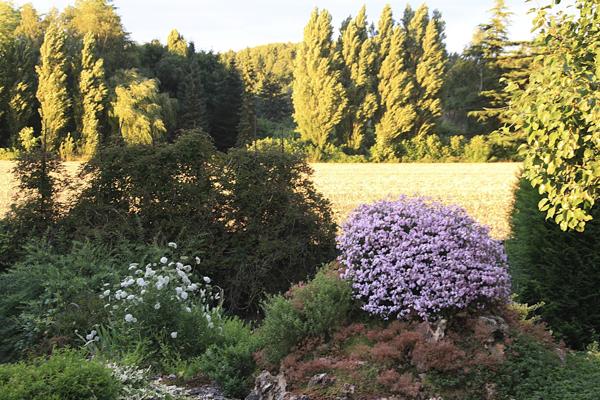 Immobilier Thoiry (78770) – Maison 193.93m2 – 695 000 €